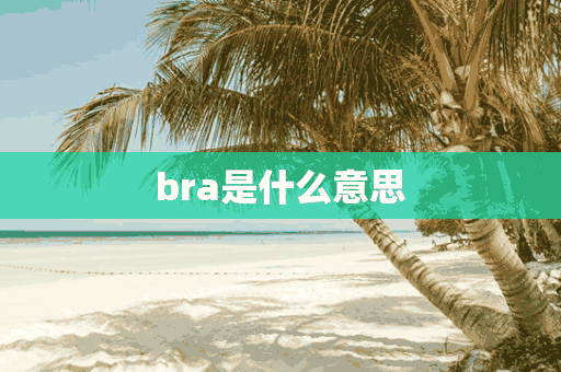 bra是什么意思(bra是什么意思翻译)